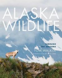 Cover image for Alaska Wildlife: Through the Season