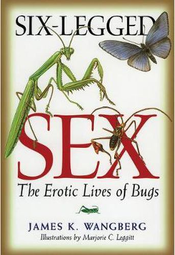 Cover image for Six-Legged Sex: The Erotic Lives of Bugs