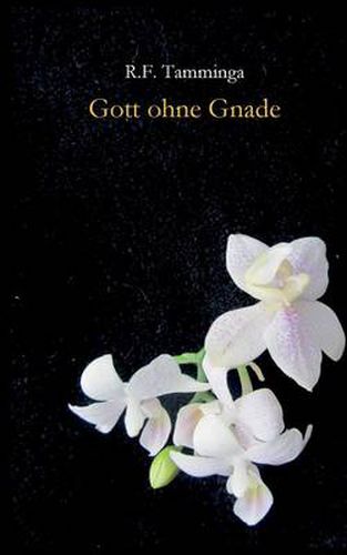 Cover image for Gott ohne Gnade