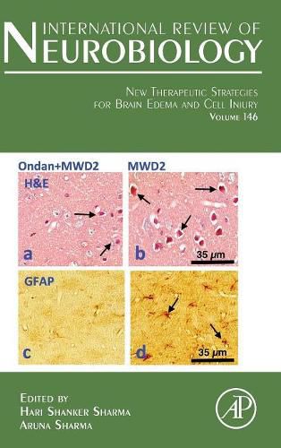 Cover image for New Therapeutic Strategies for Brain Edema and Cell Injury