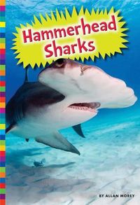 Cover image for Hammerhead Sharks