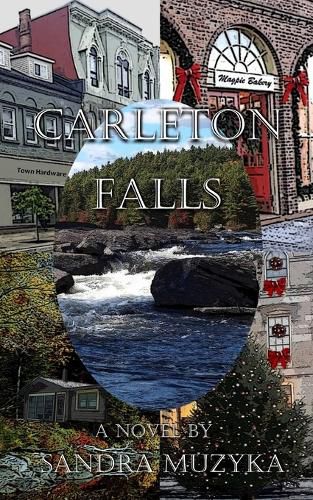 Cover image for Carleton Falls