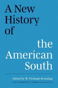 Cover image for A New History of the American South