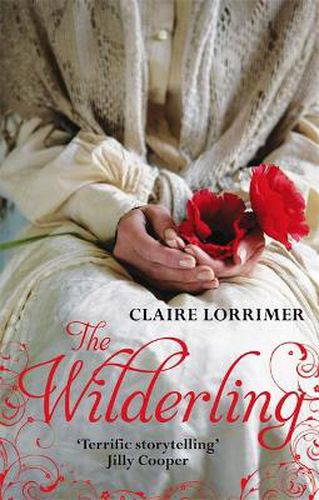 Cover image for The Wilderling: Number 2 in series