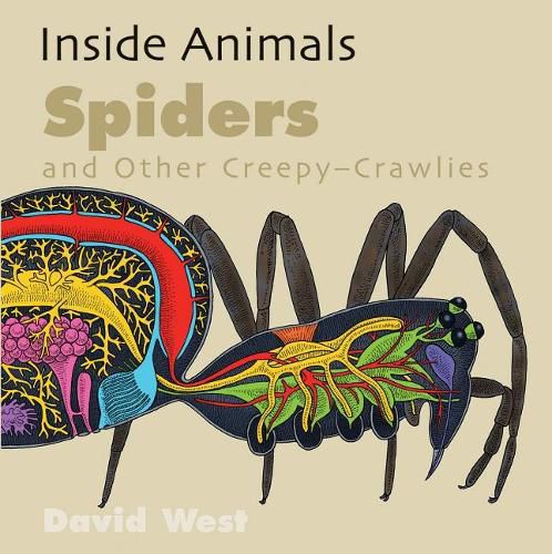 Spiders and Other Creepy-Crawlies