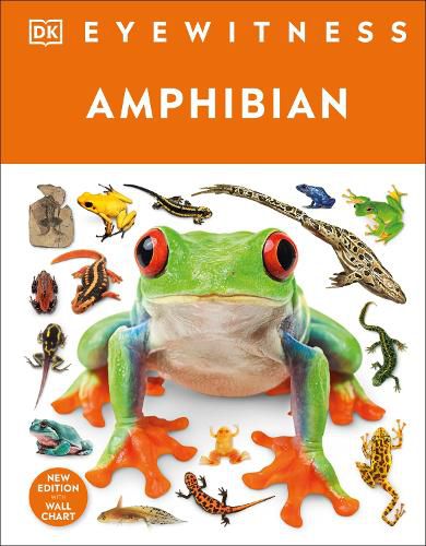 Cover image for Eyewitness Amphibian