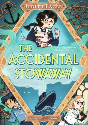 Cover image for The Accidental Stowaway