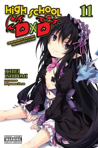 Cover image for High School DxD, Vol. 11 (light novel)