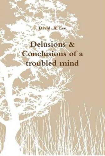 Cover image for Delusions & Conclusions of a Troubled Mind