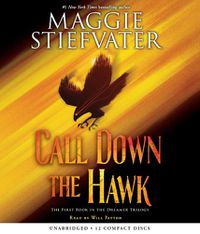 Cover image for Call Down the Hawk (the Dreamer Trilogy, Book 1): Volume 1