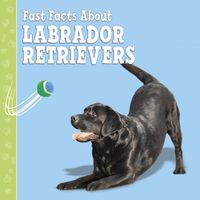 Cover image for Fast Facts About Labradors