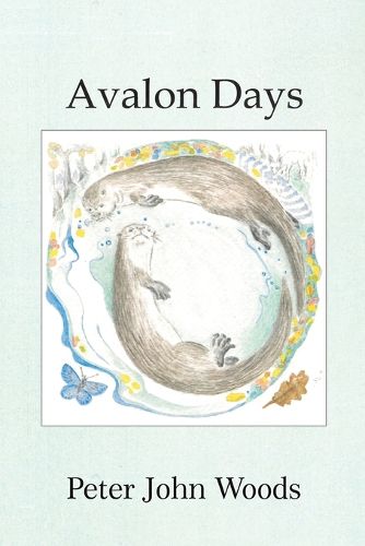 Cover image for Avalon Days