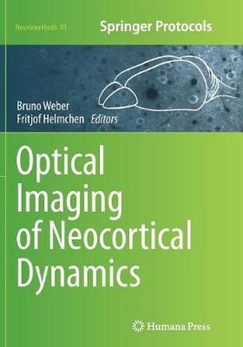 Cover image for Optical Imaging of Neocortical Dynamics