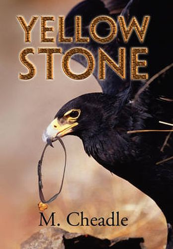 Cover image for Yellow Stone