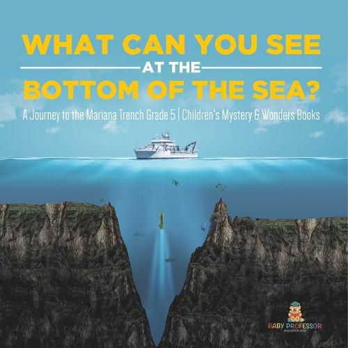 Cover image for What Can You See at the Bottom of the Sea? a Journey into the Mariana