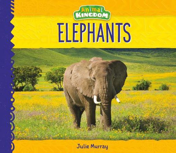 Cover image for Elephants