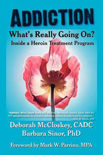 Cover image for Addiction--What's Really Going On?: Inside a Heroin Treatment Program