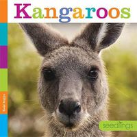 Cover image for Kangaroos