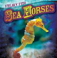 Cover image for Sea Horses