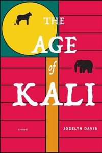 Cover image for The Age of Kali