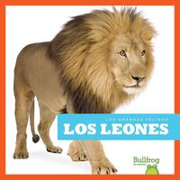 Cover image for Los Leones (Lions)