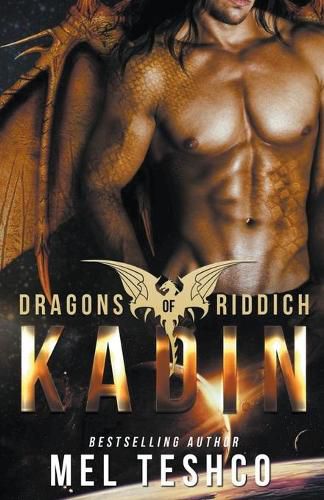 Cover image for Kadin