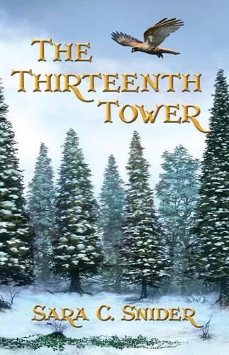Cover image for The Thirteenth Tower