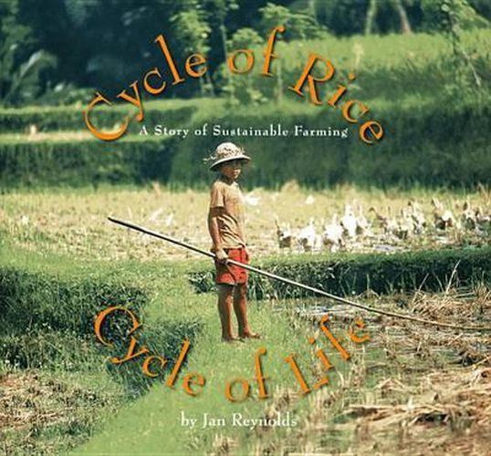 Cover image for Cycle of Rice, Cycle of Life: A Story of Sustainable Farming