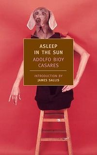 Cover image for Asleep in the Sun
