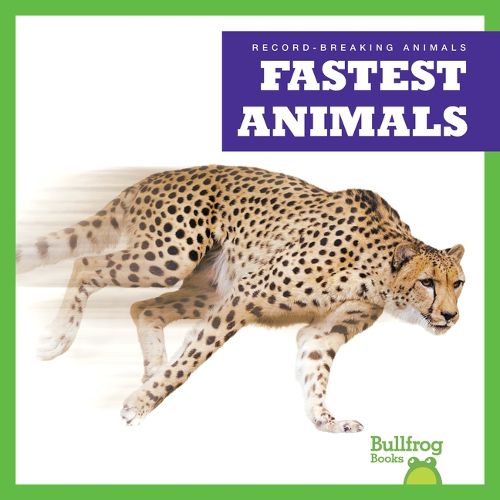 Fastest Animals