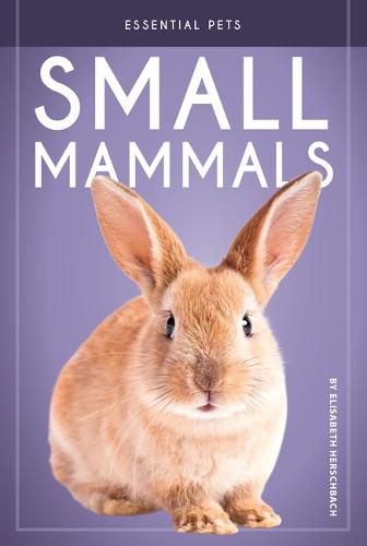 Cover image for Small Mammals