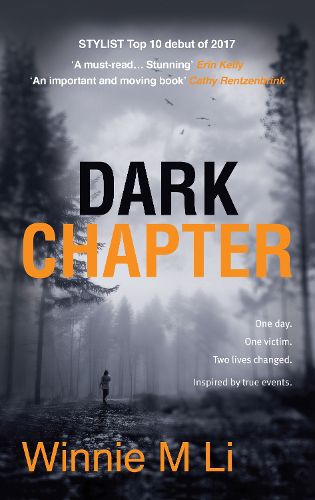 Cover image for Dark Chapter: Hard-hitting crime fiction based on a true story