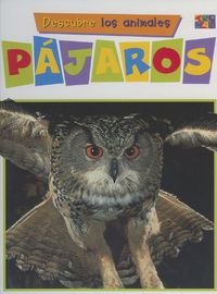 Cover image for Pajaros