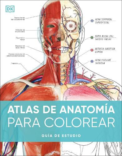 Cover image for Atlas de anatomia para colorear (The Human Body Coloring Book)