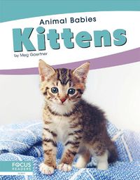 Cover image for Animal Babies: Kittens