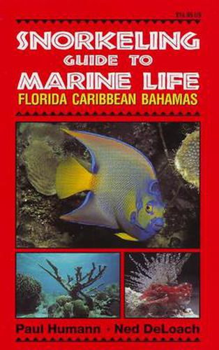 Cover image for Snorkeling Guide to Marine Life: Florida, Caribbean, Bahamas