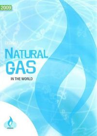 Cover image for Natural Gas in the World