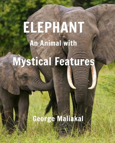 Cover image for Elephant - An Animal with Mystical Features