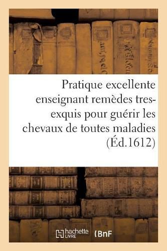 Cover image for Pratique Excellente Enseignant Remedes Tres-Exquis Pour Guerir Les Chevaux de Toutes Maladies