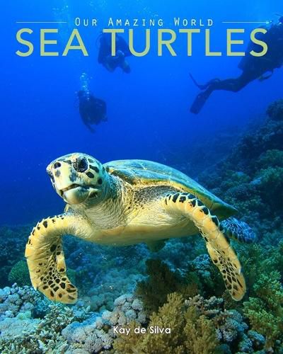 Cover image for Sea Turtles: Amazing Pictures & Fun Facts on Animals in Nature