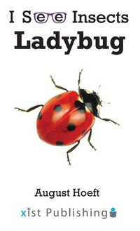 Cover image for Ladybug