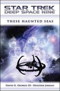 Cover image for Star Trek: Deep Space Nine: These Haunted Seas