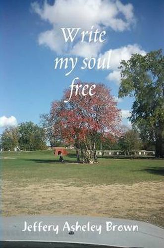 Cover image for Write my soul free