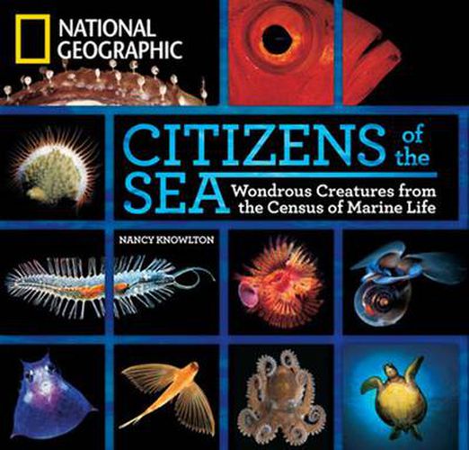 Cover image for Citizens of the Sea: Wondrous Creatures from the Census of Marine Life