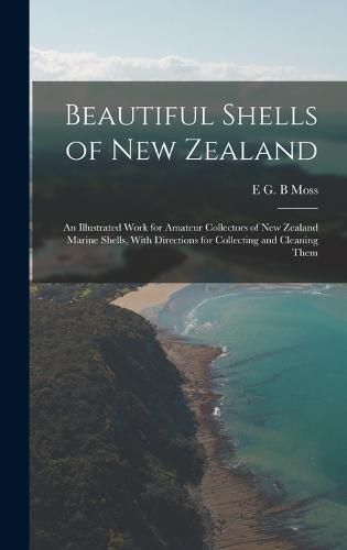 Beautiful Shells of New Zealand