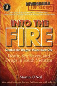 Cover image for Into the Fire