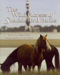 Cover image for Wild Horses of Shackleford Banks