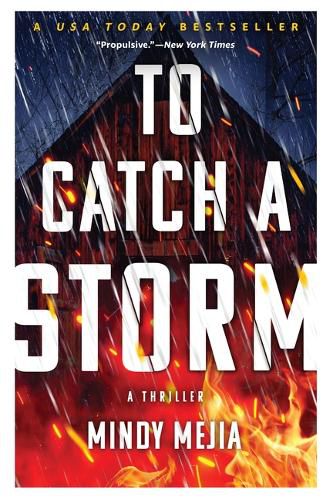 Cover image for To Catch a Storm