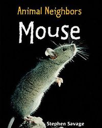 Cover image for Mouse