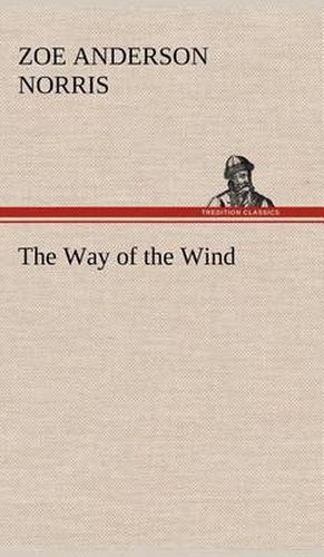 Cover image for The Way of the Wind